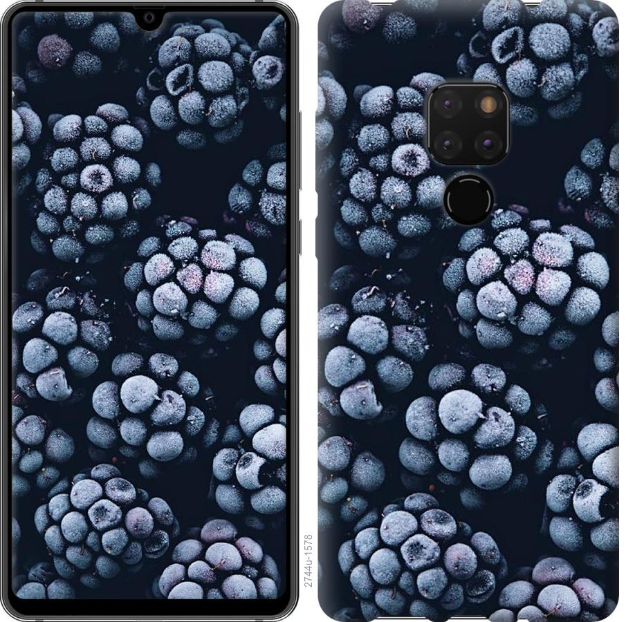 

Чохол на Huawei Mate 20 морозна ожина