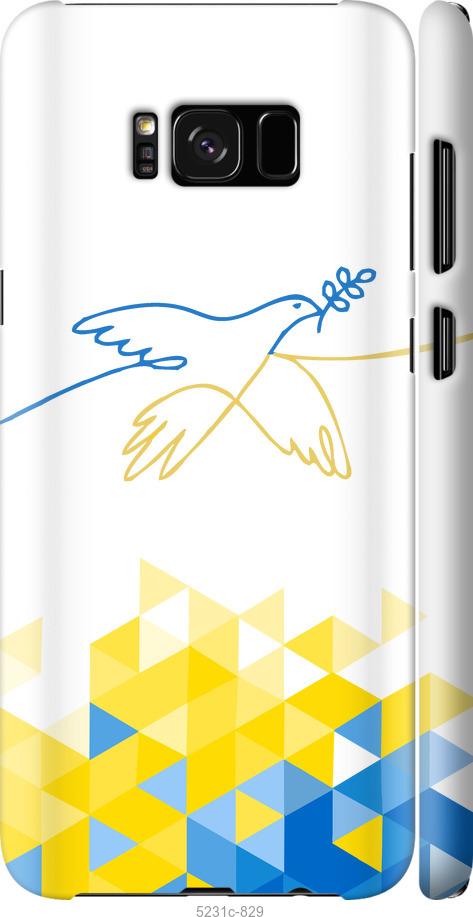 Чехол на Samsung Galaxy S8 Птица мира