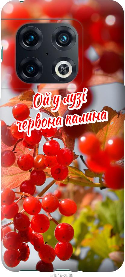 

Чехол на OnePlus 10 Pro Калина