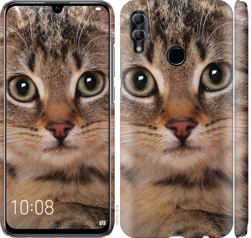 

Чехол на Huawei Honor 10 Lite Полосатый котик