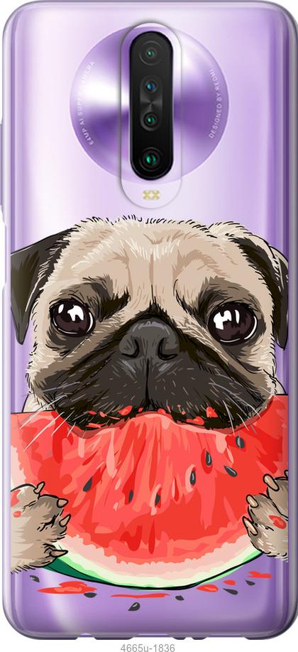 

Чехол на Xiaomi Redmi K30 Мопс и арбуз