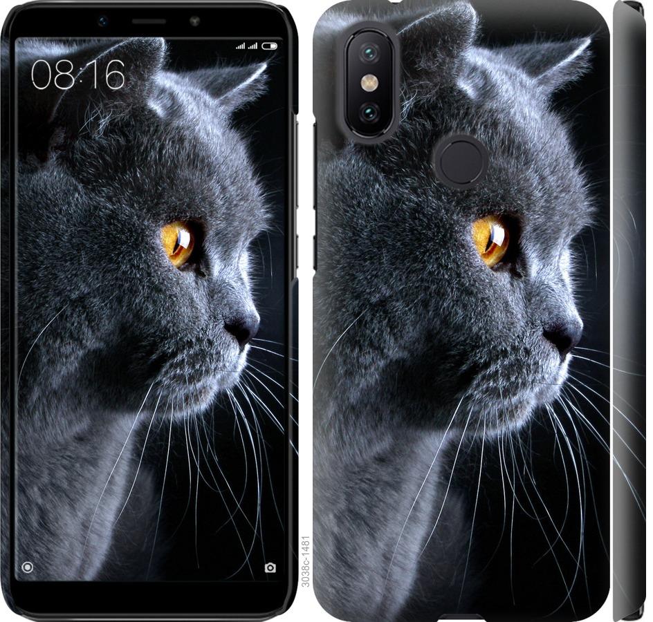 Чехол на Xiaomi Mi A2 Красивый кот