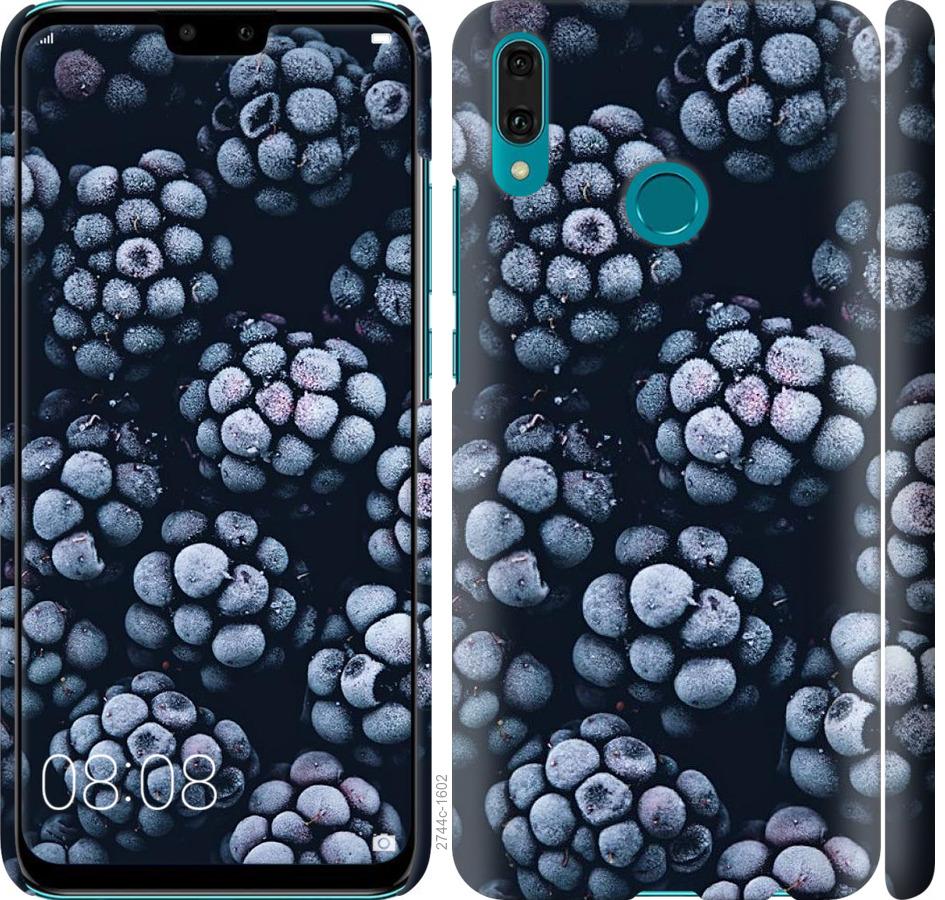 

Чохол на Huawei Y9 2019 морозна ожина