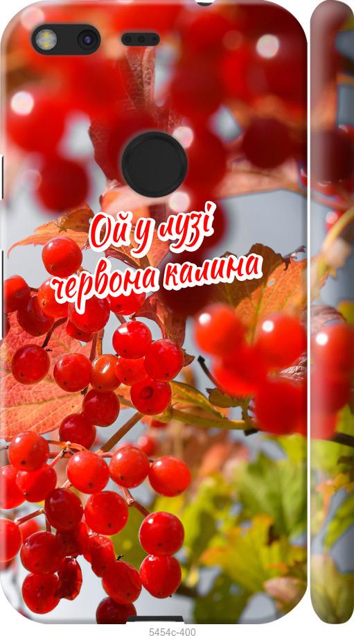 

Чехол на Google Pixel Калина