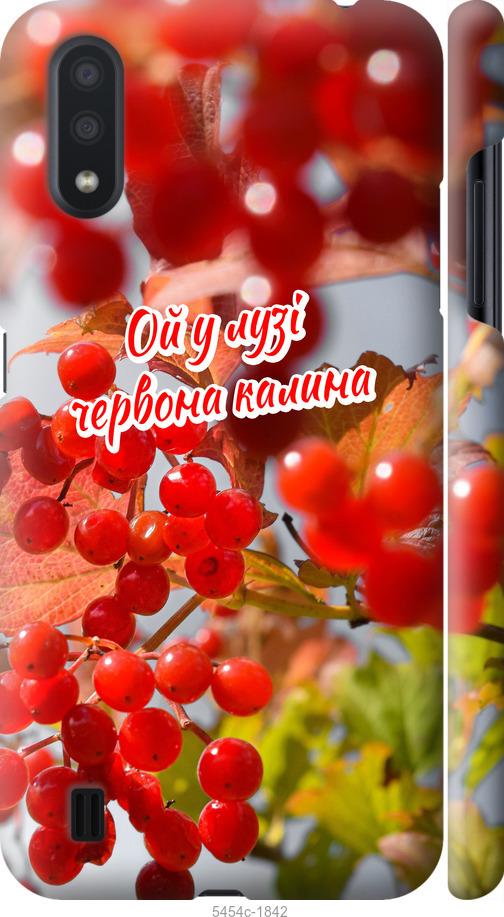 

Чехол на Samsung Galaxy A01 A015F Калина