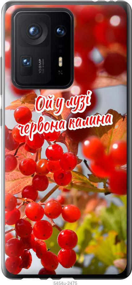 

Чехол на Xiaomi Mix 4 Калина