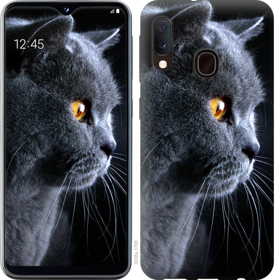 

Чохол на Samsung Galaxy A10s A107F Гарний кіт