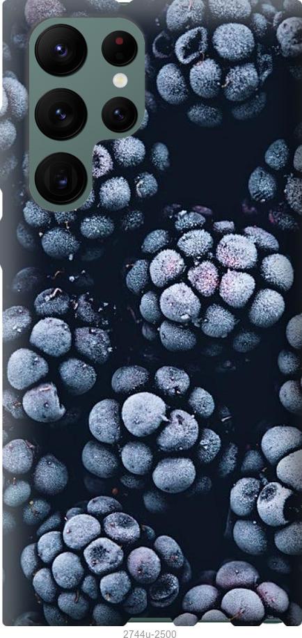 

Чохол на Samsung Galaxy S22 Ultra морозна ожина