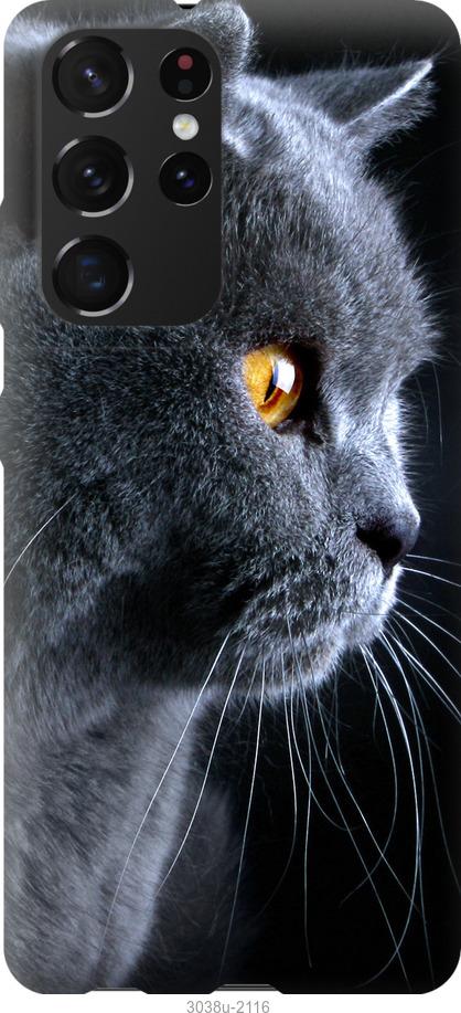 

Чохол на Samsung Galaxy S21 Ultra Гарний кіт