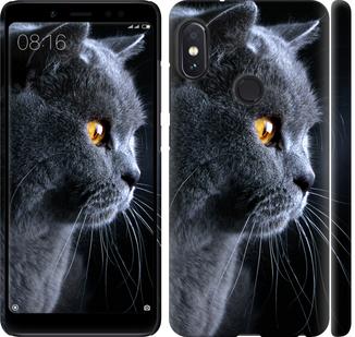 

Чохол на Xiaomi Redmi Note 5 Гарний кіт