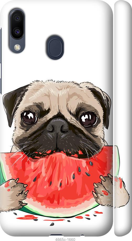 

Чехол на Samsung Galaxy M20 Мопс и арбуз