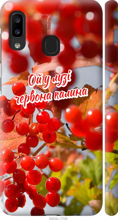 

Чехол на Samsung Galaxy A20e A202F Калина