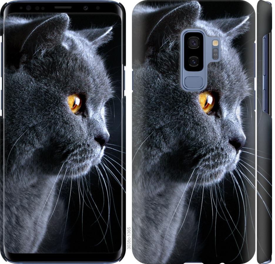

Чохол на Samsung Galaxy S9 Plus Гарний кіт