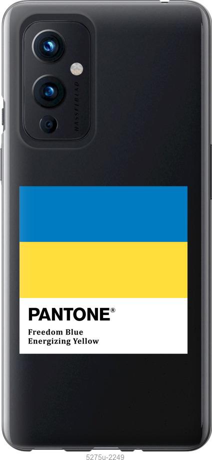 

Чохол на OnePlus 9 Прапор Пантон
