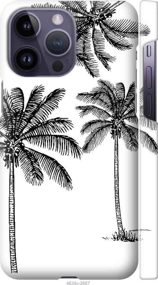 Чехол на iPhone 14 Pro Max Пальмы1