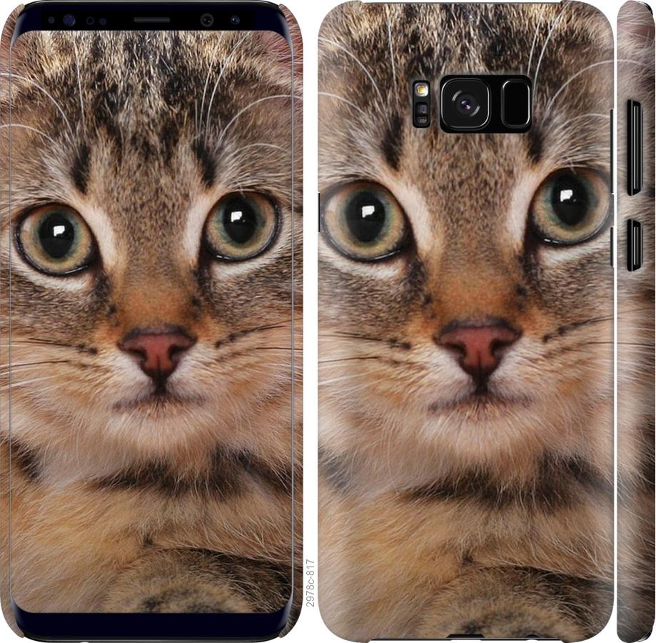 

Чехол на Samsung Galaxy S8 Plus Полосатый котик