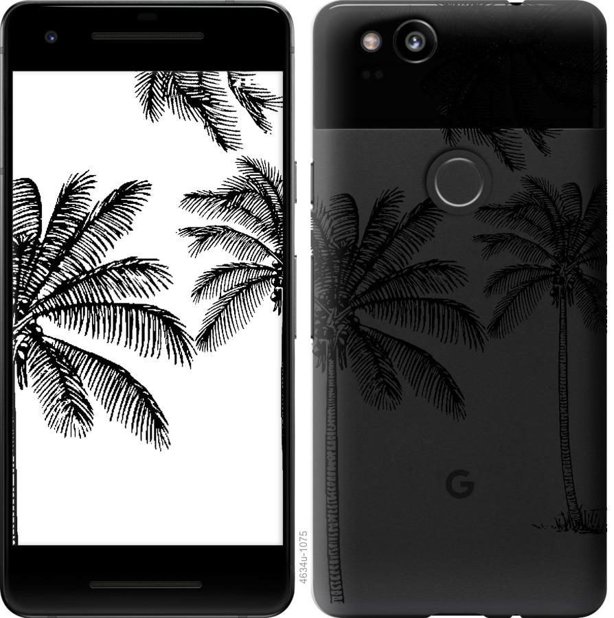 

Чохол на Google Pixel 2 Пальми1