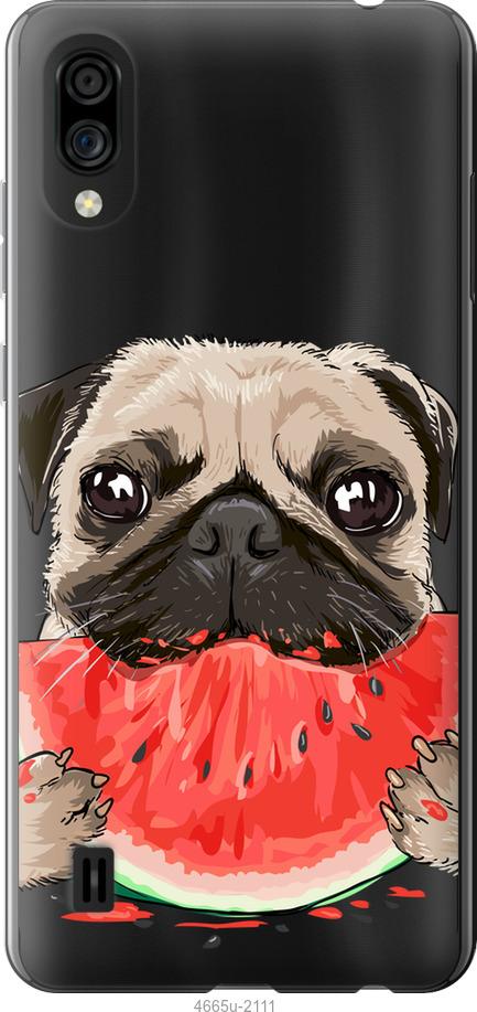

Чехол на ZTE Blade A5 2020 Мопс и арбуз