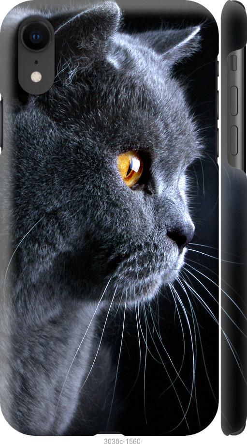 

Чохол на iPhone XR Гарний кіт
