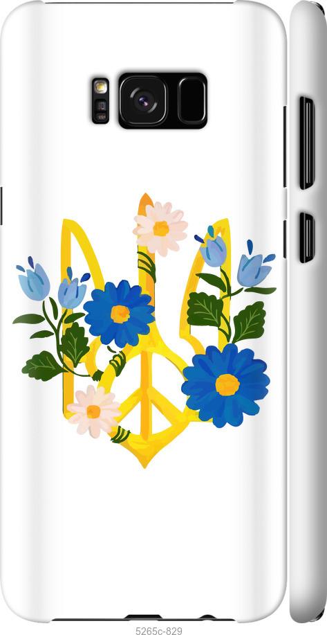 Чехол на Samsung Galaxy S8 Герб v3