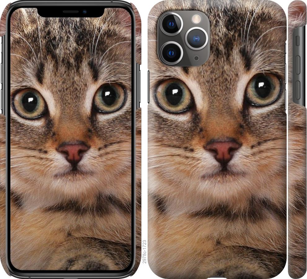 

Чехол на iPhone 11 Pro Max Полосатый котик