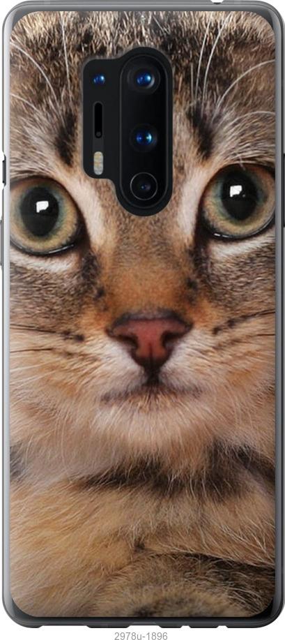 

Чехол на OnePlus 8 Pro Полосатый котик