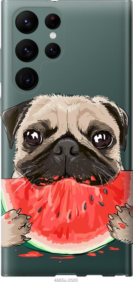 

Чехол на Samsung Galaxy S22 Ultra Мопс и арбуз