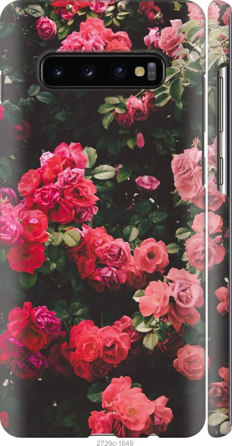 

Чехол на Samsung Galaxy S10 Plus Куст с розами