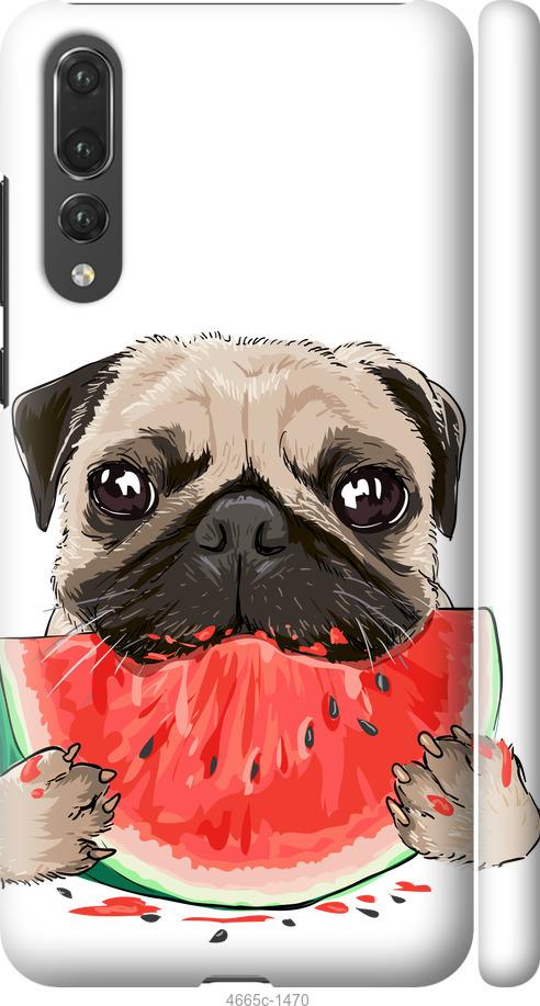 

Чехол на Huawei P20 Pro Мопс и арбуз