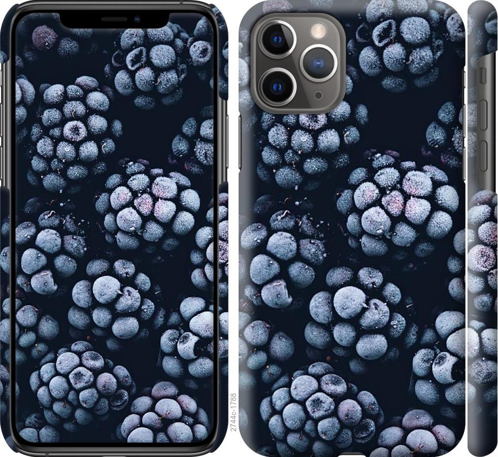 

Чохол на iPhone 11 Pro морозна ожина