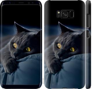 Чехол на Samsung Galaxy S8 Дымчатый кот