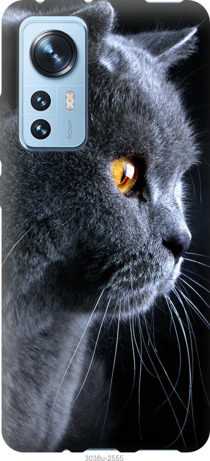 

Чехол на Xiaomi 12 Красивый кот