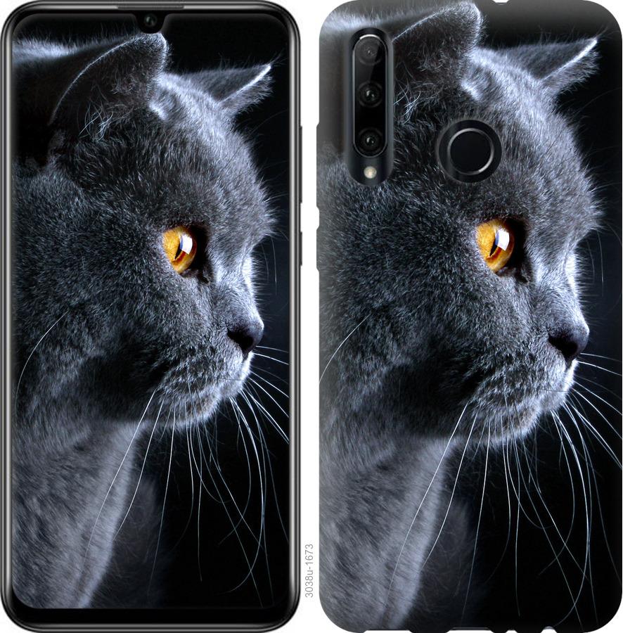 

Чохол на Huawei Y6p Гарний кіт