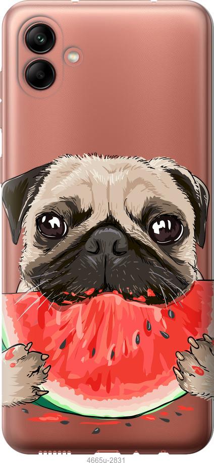 

Чехол на Samsung Galaxy A04 A045F Мопс и арбуз