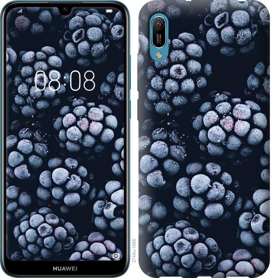 

Чохол на Huawei Y6 2019 морозна ожина
