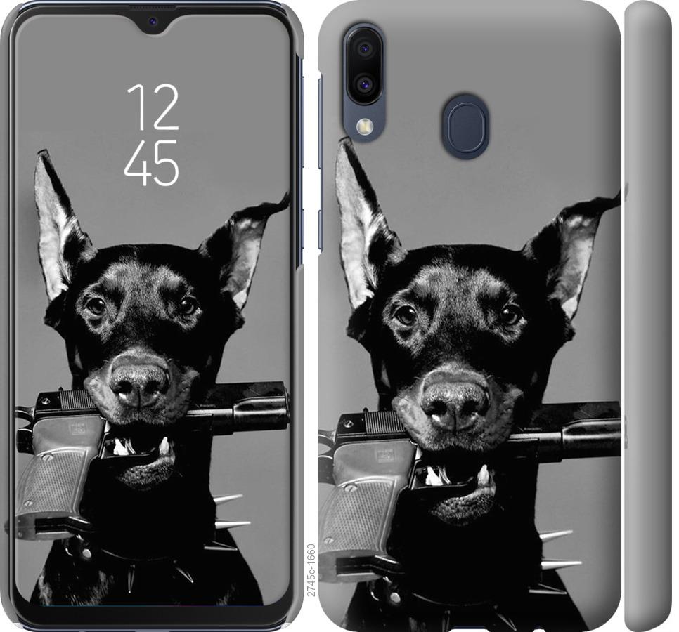 

Чохол на Samsung Galaxy M20 Доберман