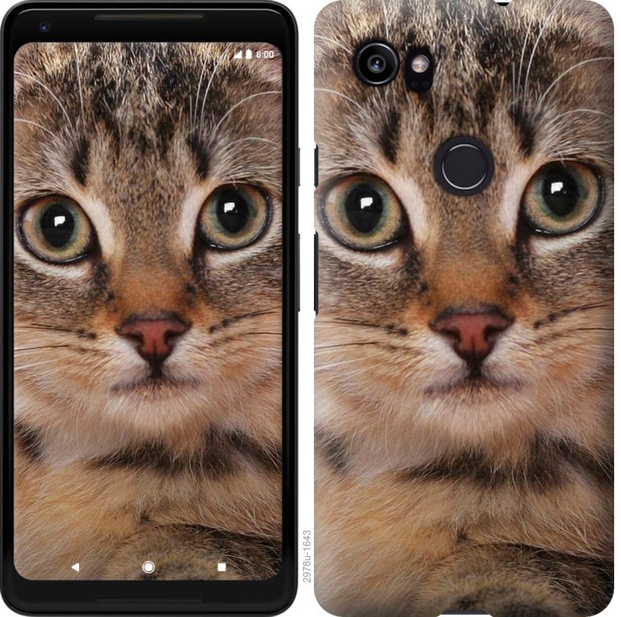 

Чехол на Google PixeL 2 XL Полосатый котик