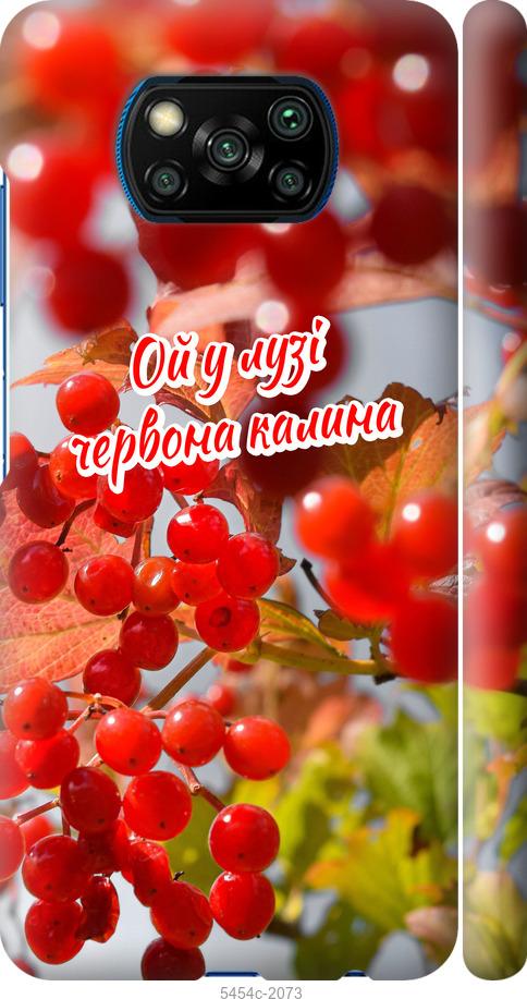 

Чехол на Xiaomi Poco X3 Калина