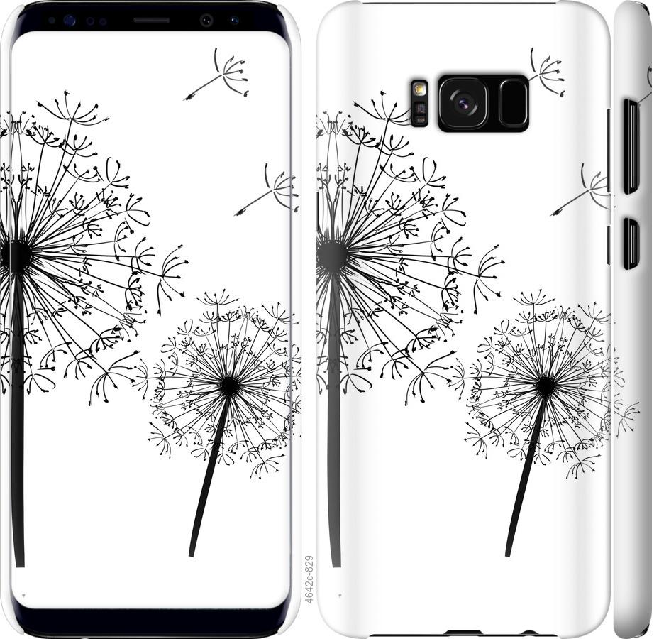 

Чехол на Samsung Galaxy S8 Одуванчики