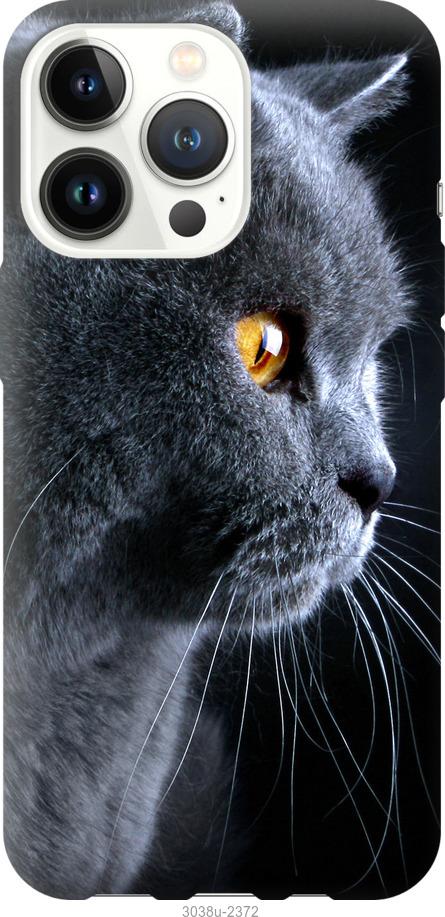 

Чохол на iPhone 13 Pro Гарний кіт