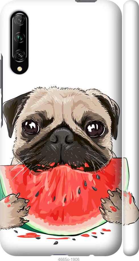 

Чехол на Huawei P Smart Pro Мопс и арбуз