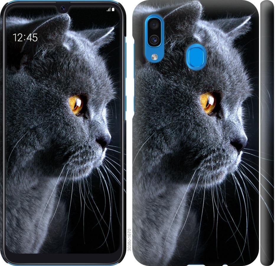 

Чохол на Samsung Galaxy A30 2019 A305F Гарний кіт