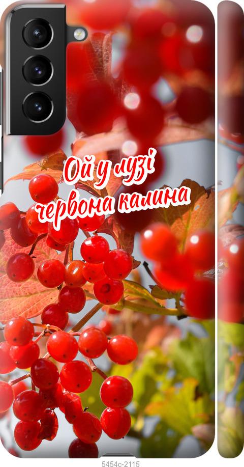 

Чехол на Samsung Galaxy S21 Plus Калина