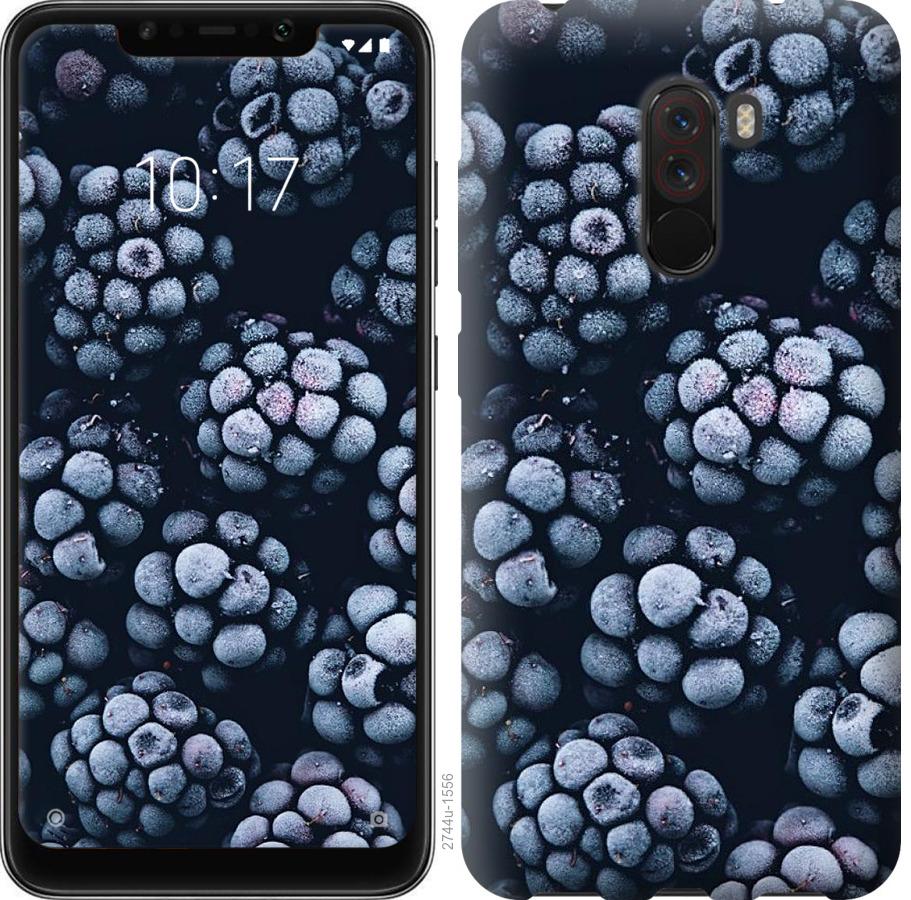 

Чохол на Realme X2 Pro морозна ожина