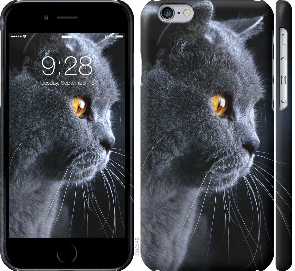 

Чохол на iPhone 6s Гарний кіт