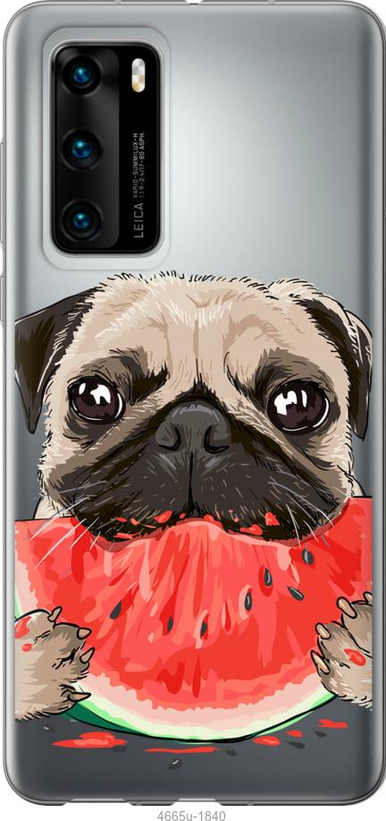 

Чехол на Huawei P40 Мопс и арбуз