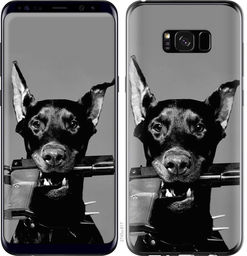 

Чохол на Samsung Galaxy S8 Plus Доберман