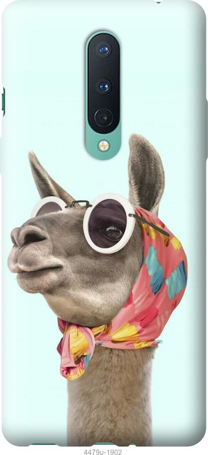 

Чохол на OnePlus 8 Модна лама