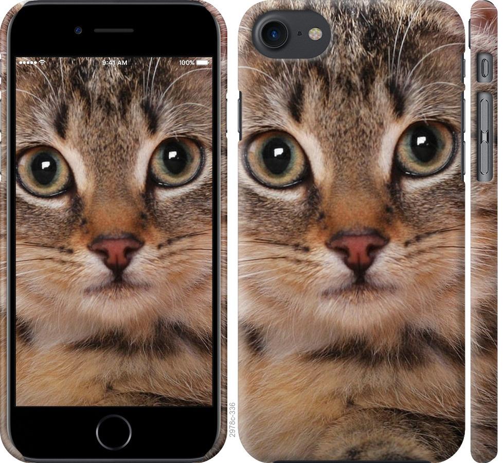 

Чехол на iPhone 8 Полосатый котик