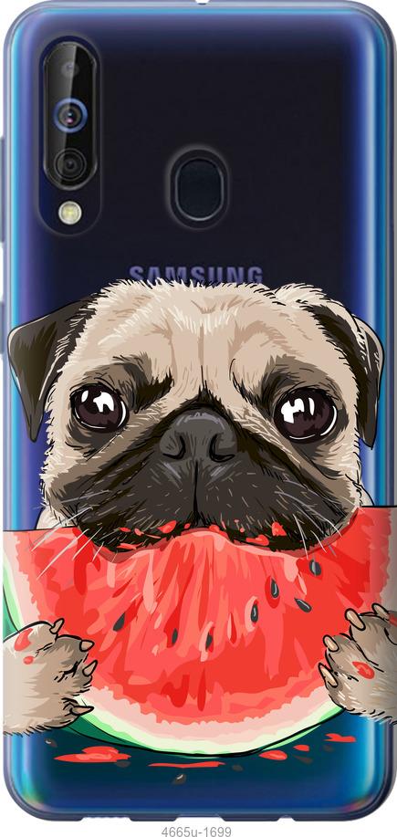 

Чехол на Samsung Galaxy A60 2019 A606F Мопс и арбуз